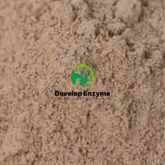 Food Enzyme Powder Protease Use in Dough Make Ductility and Bakery - Beijing Develop Biotech Co., Ltd.