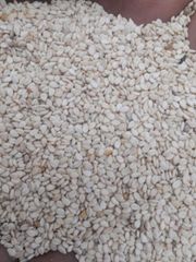 WHITE SESAME HUMERA TYPE – product photo 1, product detail gallery