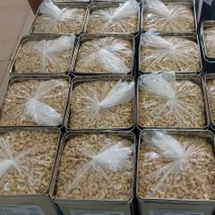 Top Brazilian / Cheap Price Kernel Organic Quality Cashews Nut Supplier Offers Benin Raw Cashew Nuts In Shell - Image 4