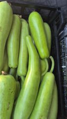 Vegetables – product photo 8, product detail gallery