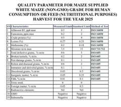 white maize (NON-GMO) - Image 3