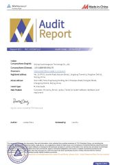 Audit Report certificate from Beijing Yuanshengyuan Technology Co., Ltd.
