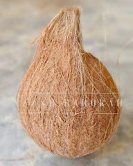 Semi husked coconut – product photo 1, product detail gallery