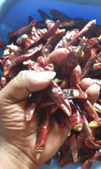 Dried Red chilli - Image 2