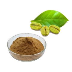 ISO Certification Top Quality Green Coffee Bean Extract Powder 98% Chlorogenic Acids 50% Green Coffee Bean Extract Powder - Xi'an HerbSpirit Technology Co., Ltd.