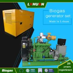 240kw/300kVA 400V/6.3kv/10.5kv Biogas Gas Gngine Generator 6190 Engine Export to Russia Kazakhstan Biogas Plant - Image 5
