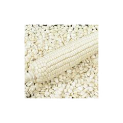 High-quality white maize available in bulk at the best wholesale rates - Image 1