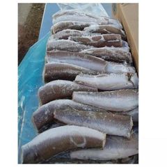 Available Stock Of Frozen Hake Fish/ Frozen Hake Fillet Fish. - Image 3