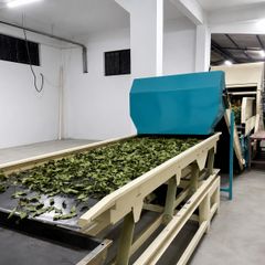 Turkish Dried Bay Leaves (Laurus nobilis L.) — Semi Select & FAQ Pressed Bale - Image 4