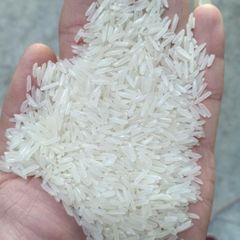 ST24 RICE - VIETNAM PREMIUM GRADE – product photo 2, product detail gallery