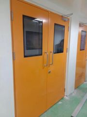 Polyurethane GMP SINGLE AND DOUBLE DOORS MOQ 1 Service Code DOOR Material Polyurethane Country of Origin Made in India Production Capacity 50 doors per - Image 2