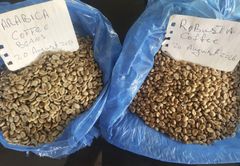 High Grade Sundry Cocoa and coffee available for long term Supplies – product photo 2, product detail gallery