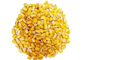 Premium Whole Yellow Corn – High-Energy Grain for Livestock Feed & Industrial Use - Image 1