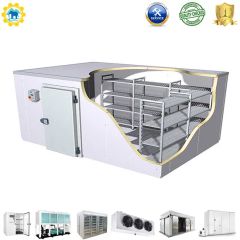 500 Square Meter Cold Storage Refrigerator, Cold Room Refrigerator - Image 1