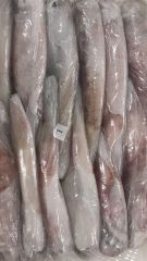 CALAMAR SQUID – product photo 3, product detail gallery