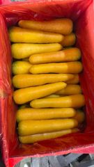 Fresh carrot - Image 2