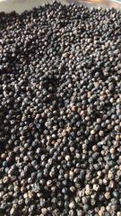 Black Pepper – product photo 1, product detail gallery