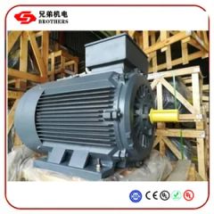 Three Phase High Power Electric Motor with Mining Mill - Fuding Brothers Power Co., Ltd.