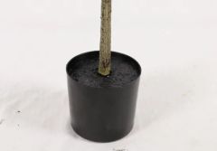 Umbrella Tree New Style Ecofriendly Artificial Plant - Image 5