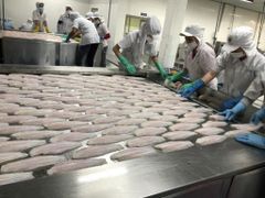 Hot selling available Pangasius Frozen Pangasius Trimmed, Skinless, Boneless Frozen Pangasius Fillet/Swai fish - Image 6