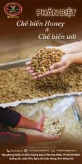 Robusta Coffee – product photo 1, product detail gallery