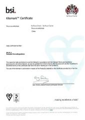 BS certificate of Nanjing Jiayi Fire Technology Co., Ltd – certificate photo, supplier certificates section