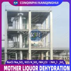 Deep Dehydrator Machine Mother Liquor Drying Equipment Liquid Dryer - Image 3