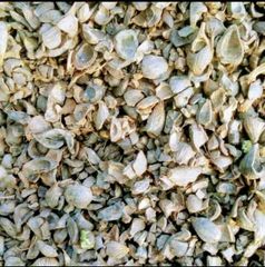 Palm Kernel Shell/expeller - Image 2
