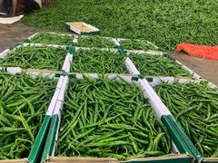 Fresh Green Chilli - Image 6
