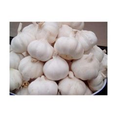 Fresh Garlic