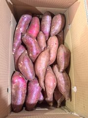 Sweet Potato Flavor Naturally Sweet Texture Smooth And Firm Harvesting Method Harvested At Peak Maturity Nutritional Content Rich In Vitamins, Minerals, And Dietary - Image 3