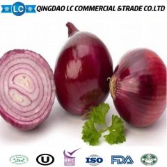 Frozen Onion GMO None Balanched No Model NO. DCO006 Shelf Life 2 Yeas HS Code 0710900000 Origin Shandong, China Type Agricultural - Image 1