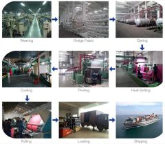professional Pcking&Shipping certificate from Shanghai Sinyo Import & Export Co., Ltd.