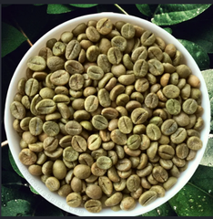 Green Robusta Coffee Beans - Image 1
