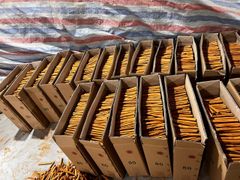 Cigarette Cassia - Image 1