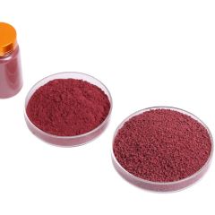 Food Additive Monascus Color Red - Image 1