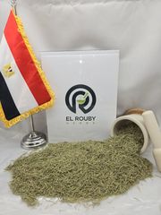 Salvia rosmarinus – product photo 1, product detail gallery