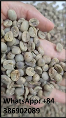 ARABICA - Arabica S16  Full washed New crop – product photo 2, product detail gallery
