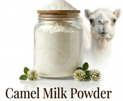 Camel Milk Powder - Image 1