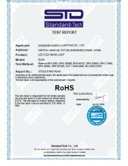 LED Neon RoHS certificate from Shenzhen Enrich Lighting Co., Ltd.