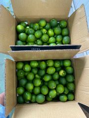 Lime – product photo 3, product detail gallery