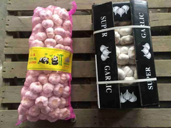 China High Quality Garlic for Wholesale - Image 2