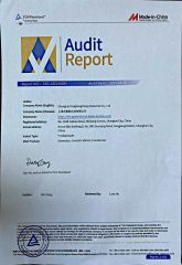 Adit Report certificate from Shanghai Yonghengsheng Industrial Co., Ltd