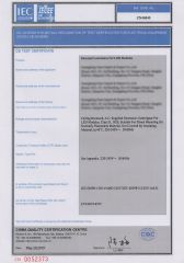 IECC-2 certificate from Jiangmen Xinghong Lighting Co., Ltd.