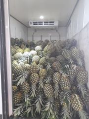 Natural Fresh Juicy Pineapple/ Sweet MD2 Pineapple Fruits/ Fresh Whole Pineapple (WA 0084366808683) - Image 3