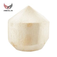 Tender White Young Organic Coconut in diamond-shaped Semi-Husked Fresh Style 60-Day Shelf Life from Vietnam for Drink - 3TIMEX CO., LTD