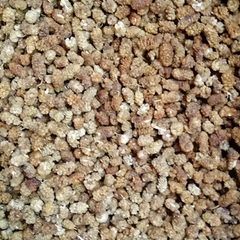 Dried Mulberries Color Golden Texture Chewy Flavor Sweet With Chewy Taste Like Dried Figs Processing Method Sun-dried Without Preservatives Or - Image 4