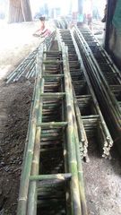 Nulgar bamboo - Trees are grown and harvested in Vietnam – product photo 5, product detail gallery