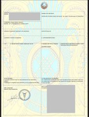 Alii certificate from INTERNATIONAL OVERSEAS DEVELOPMENT CORPORATION