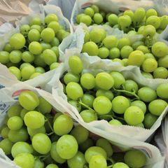 FRESH SWEET GLOBE SEEDLESS GRAPES FOR SALE!! CLASS 1 EXPORT QUALITY SWEET GLOBE SEEDLESS GRAPES FOR EXPORT – product photo 3, product detail gallery